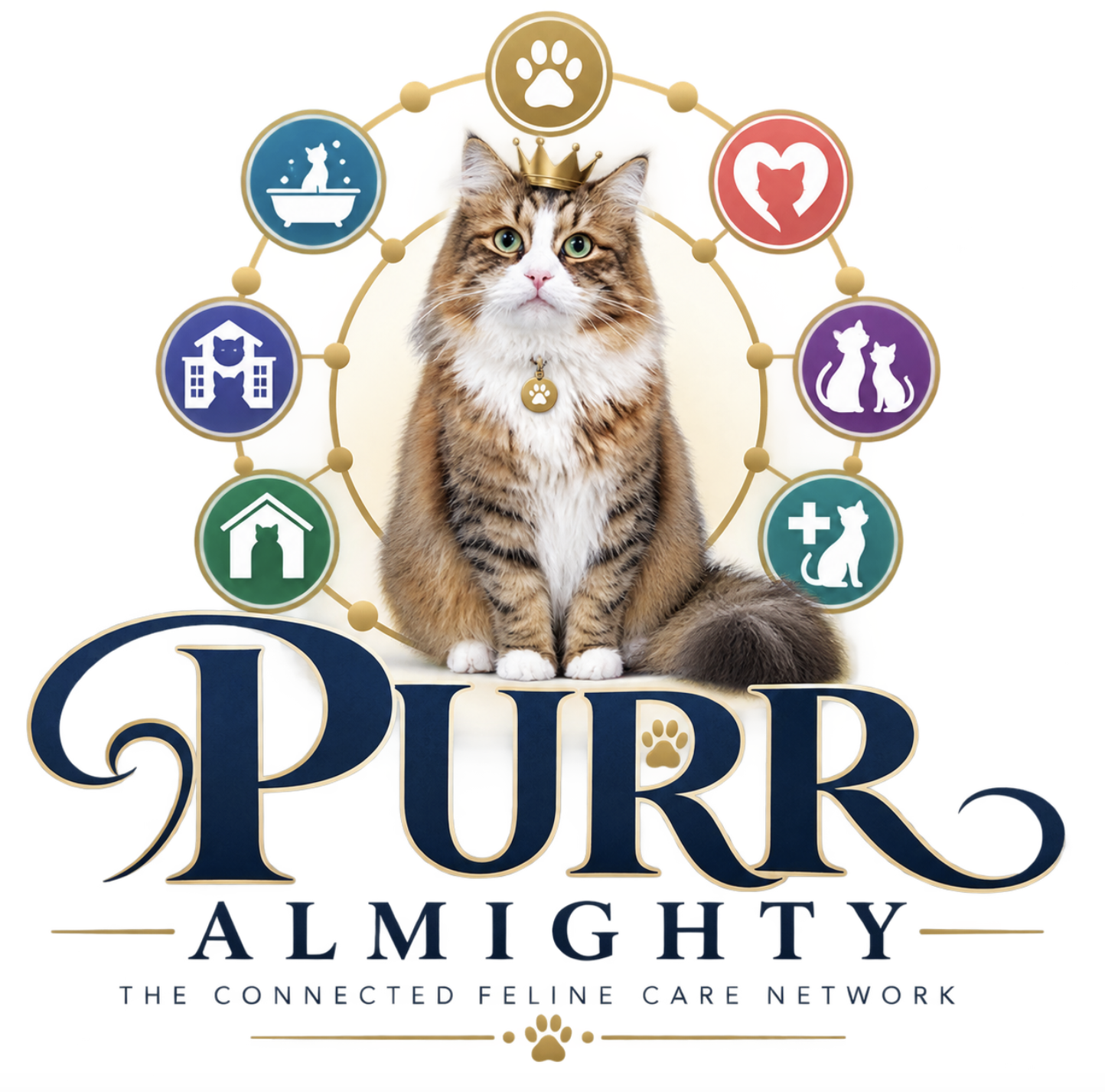 Purr Almighty — The connected feline care network